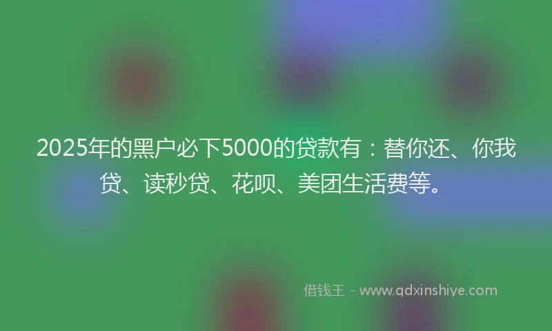 2025年的黑户必下5000的贷款有：替你还、你我贷、读秒贷、花呗、美团生活费等。