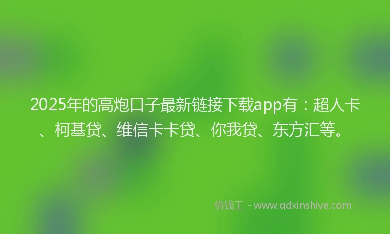 2025年的高炮口子最新链接下载app有：超人卡、柯基贷、维信卡卡贷、你我贷、东方汇等。