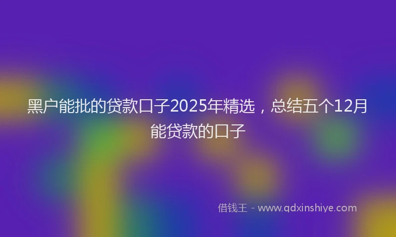 黑户能批的贷款口子2025年精选，总结五个12月能贷款的口子
