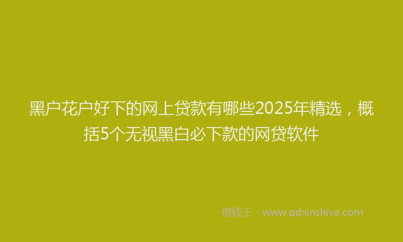 黑户花户好下的网上贷款有哪些2025年精选，概括5个无视黑白必下款的网贷软件