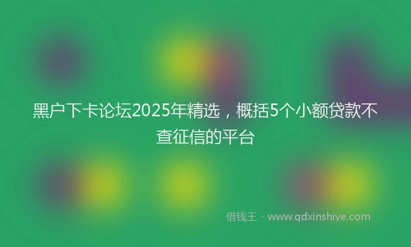 黑户下卡论坛2025年精选，概括5个小额贷款不查征信的平台