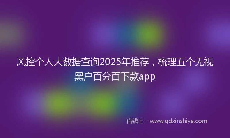 风控个人大数据查询2025年推荐，梳理五个无视黑户百分百下款app