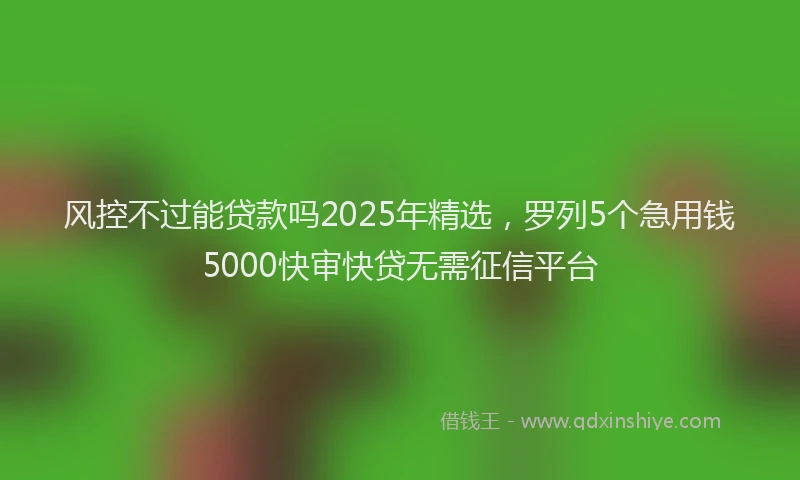 风控不过能贷款吗2025年精选，罗列5个急用钱5000快审快贷无需征信平台