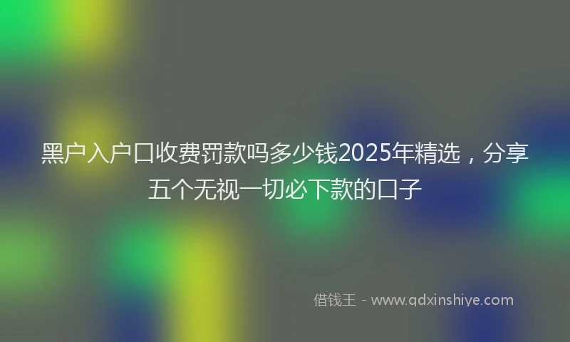 黑户入户口收费罚款吗多少钱2025年精选，分享五个无视一切必下款的口子