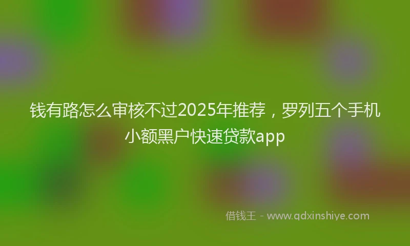 钱有路怎么审核不过2025年推荐，罗列五个手机小额黑户快速贷款app
