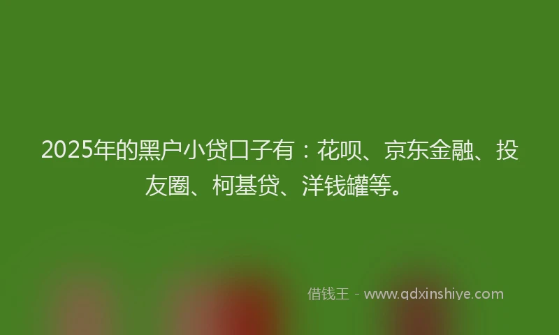 2025年的黑户小贷口子有：花呗、京东金融、投友圈、柯基贷、洋钱罐等。