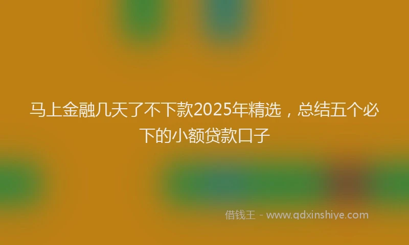 马上金融几天了不下款2025年精选，总结五个必下的小额贷款口子