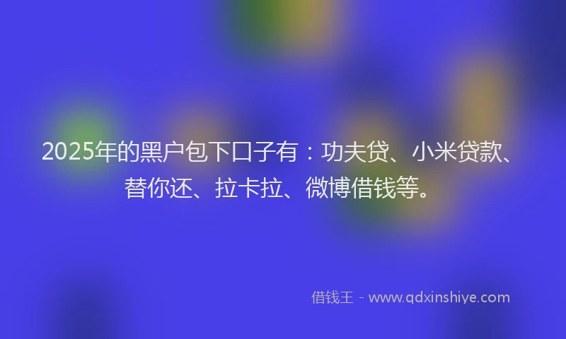 2025年的黑户包下口子有：功夫贷、小米贷款、替你还、拉卡拉、微博借钱等。