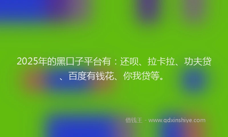 2025年的黑口子平台有：还呗、拉卡拉、功夫贷、百度有钱花、你我贷等。