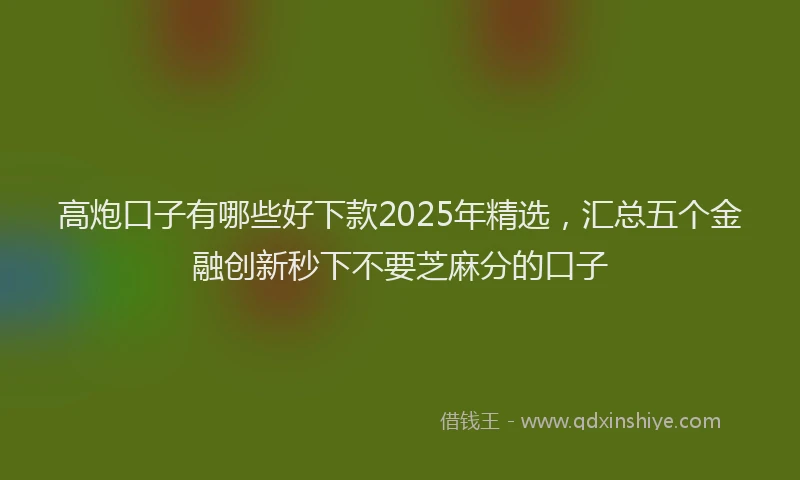 高炮口子有哪些好下款2025年精选，汇总五个金融创新秒下不要芝麻分的口子