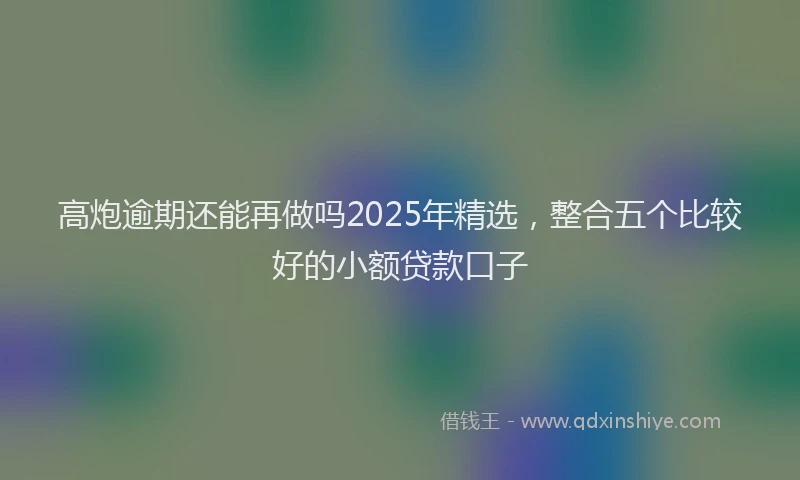 高炮逾期还能再做吗2025年精选，整合五个比较好的小额贷款口子