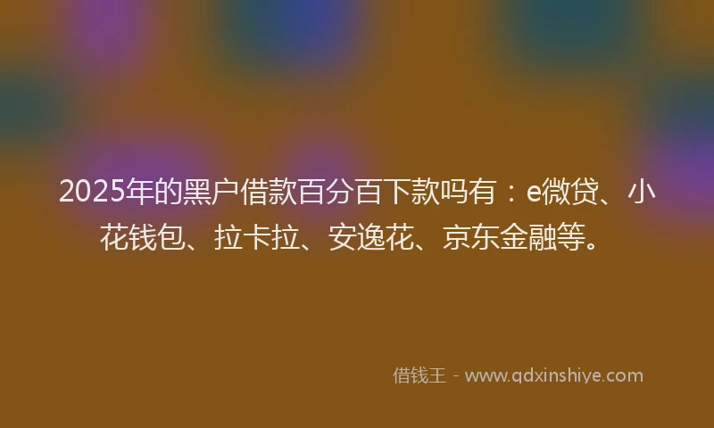 2025年的黑户借款百分百下款吗有：e微贷、小花钱包、拉卡拉、安逸花、京东金融等。