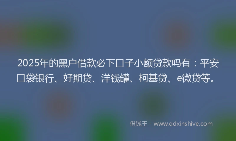2025年的黑户借款必下口子小额贷款吗有：平安口袋银行、好期贷、洋钱罐、柯基贷、e微贷等。