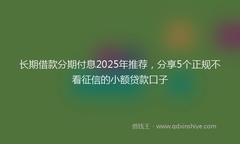 长期借款分期付息2025年推荐，分享5个正规不看征信的小额贷款口子