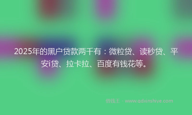 2025年的黑户贷款两千有：微粒贷、读秒贷、平安i贷、拉卡拉、百度有钱花等。