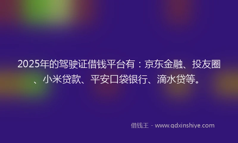 2025年的驾驶证借钱平台有：京东金融、投友圈、小米贷款、平安口袋银行、滴水贷等。