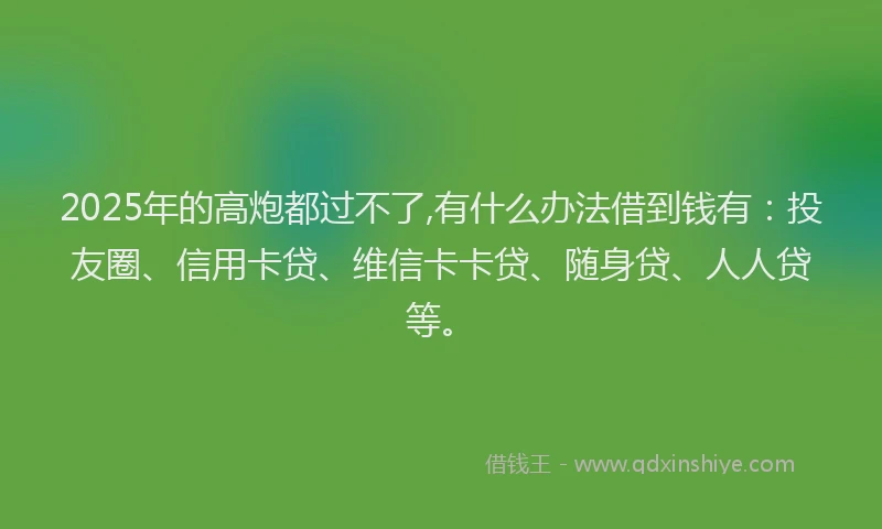 2025年的高炮都过不了,有什么办法借到钱有：投友圈、信用卡贷、维信卡卡贷、随身贷、人人贷等。
