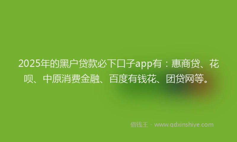 2025年的黑户贷款必下口子app有：惠商贷、花呗、中原消费金融、百度有钱花、团贷网等。