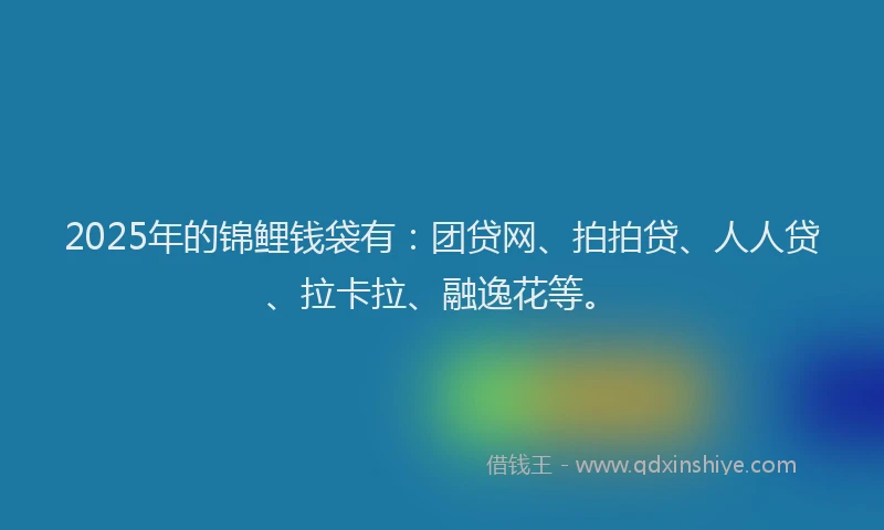 2025年的锦鲤钱袋有：团贷网、拍拍贷、人人贷、拉卡拉、融逸花等。