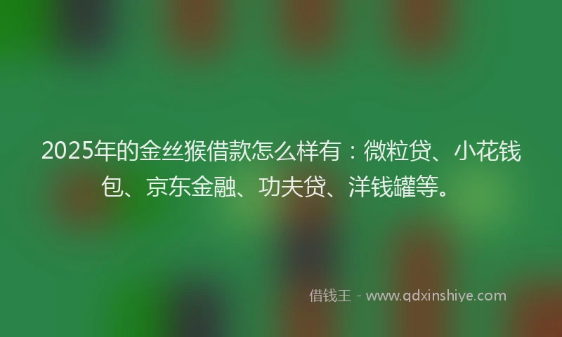 2025年的金丝猴借款怎么样有：微粒贷、小花钱包、京东金融、功夫贷、洋钱罐等。