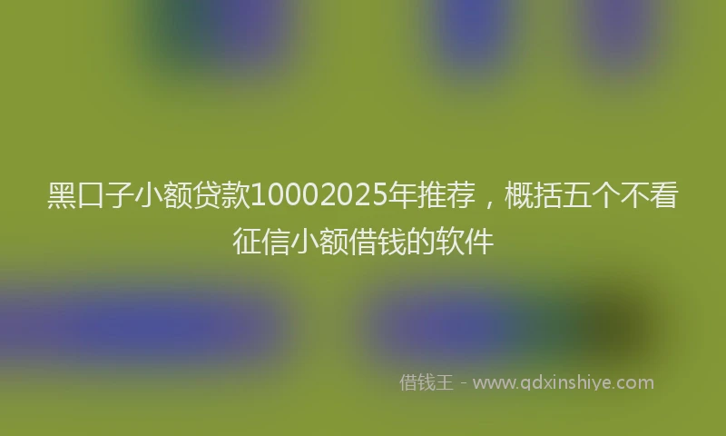黑口子小额贷款10002025年推荐，概括五个不看征信小额借钱的软件