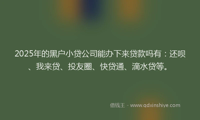 2025年的黑户小贷公司能办下来贷款吗有：还呗、我来贷、投友圈、快贷通、滴水贷等。