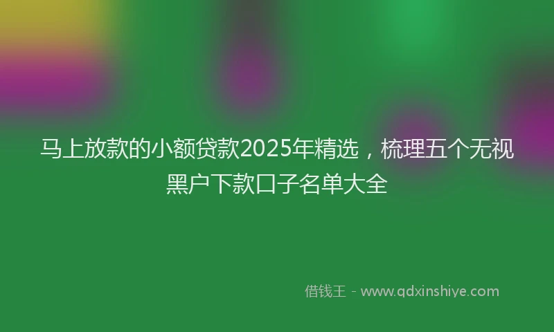 马上放款的小额贷款2025年精选，梳理五个无视黑户下款口子名单大全
