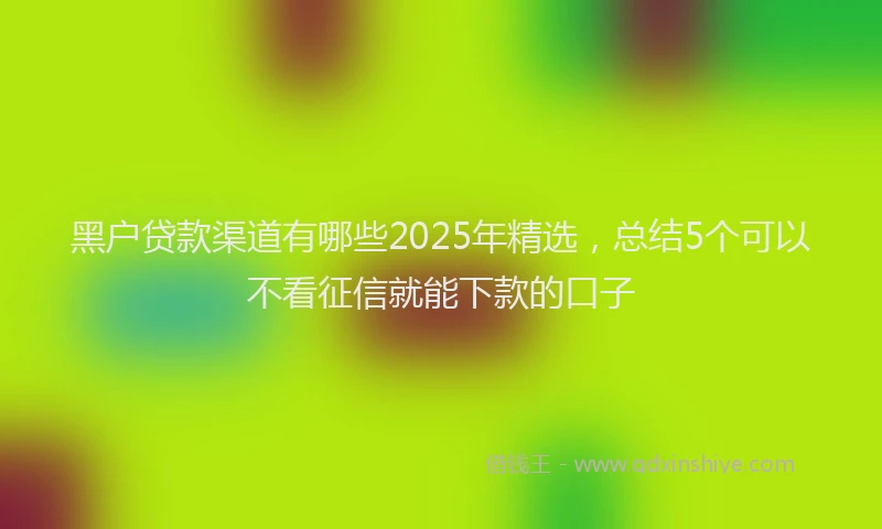 黑户贷款渠道有哪些2025年精选，总结5个可以不看征信就能下款的口子