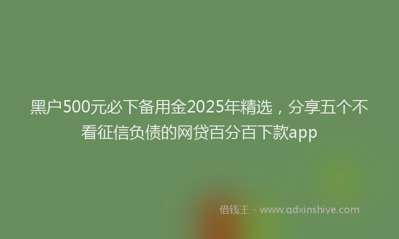 黑户500元必下备用金2025年精选，分享五个不看征信负债的网贷百分百下款app