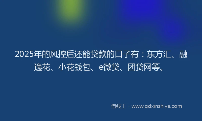 2025年的风控后还能贷款的口子有：东方汇、融逸花、小花钱包、e微贷、团贷网等。