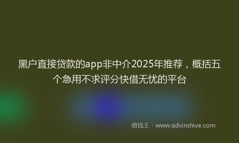 黑户直接贷款的app非中介2025年推荐，概括五个急用不求评分快借无忧的平台