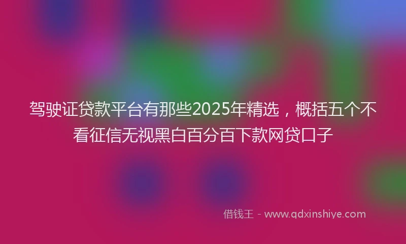 驾驶证贷款平台有那些2025年精选，概括五个不看征信无视黑白百分百下款网贷口子