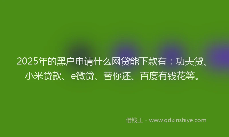 2025年的黑户申请什么网贷能下款有：功夫贷、小米贷款、e微贷、替你还、百度有钱花等。