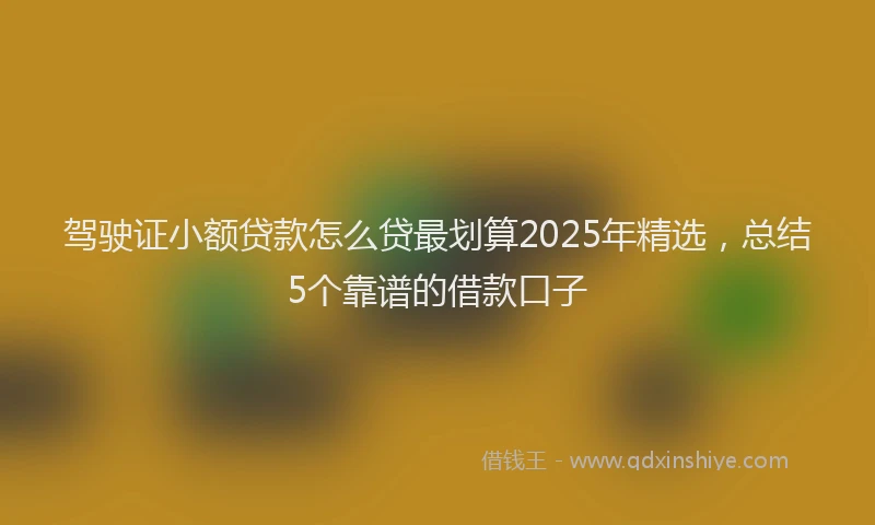 驾驶证小额贷款怎么贷最划算2025年精选,总结5个靠谱的借款口子