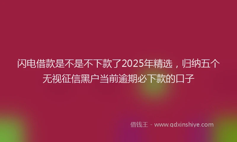 闪电借款是不是不下款了2025年精选，归纳五个无视征信黑户当前逾期必下款的口子