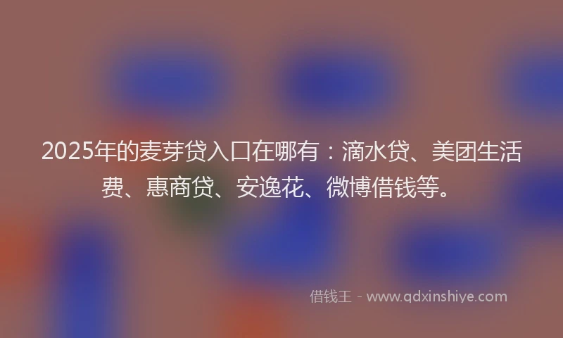 2025年的麦芽贷入口在哪有：滴水贷、美团生活费、惠商贷、安逸花、微博借钱等。