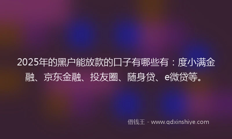 2025年的黑户能放款的口子有哪些有：度小满金融、京东金融、投友圈、随身贷、e微贷等。