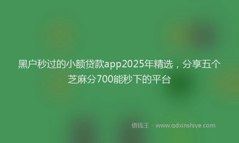 黑户秒过的小额贷款app2025年精选，分享五个芝麻分700能秒下的平台
