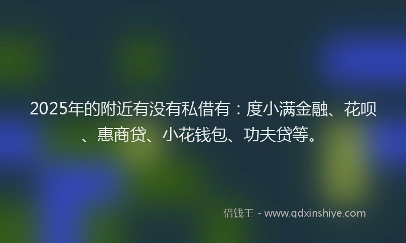 2025年的附近有没有私借有：度小满金融、花呗、惠商贷、小花钱包、功夫贷等。