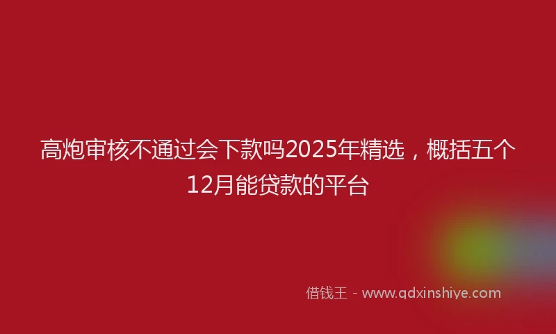 高炮审核不通过会下款吗2025年精选，概括五个12月能贷款的平台