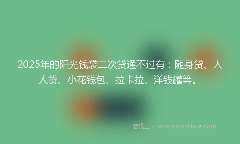 2025年的阳光钱袋二次贷通不过有：随身贷、人人贷、小花钱包、拉卡拉、洋钱罐等。