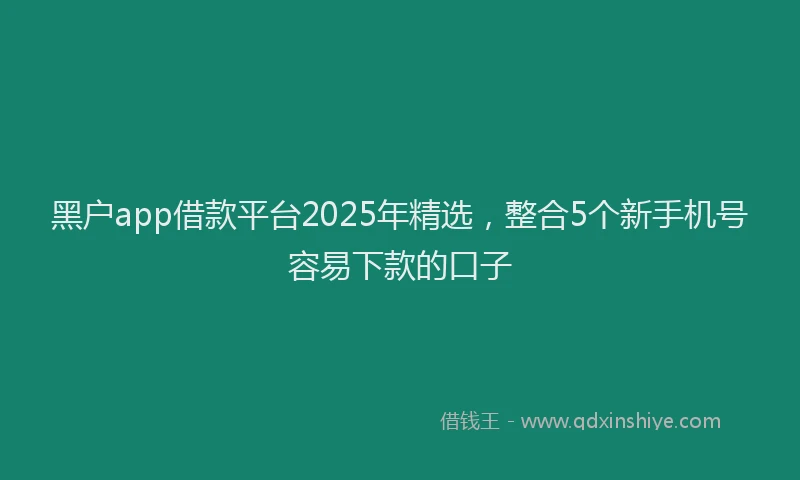 黑户app借款平台2025年精选，整合5个新手机号容易下款的口子
