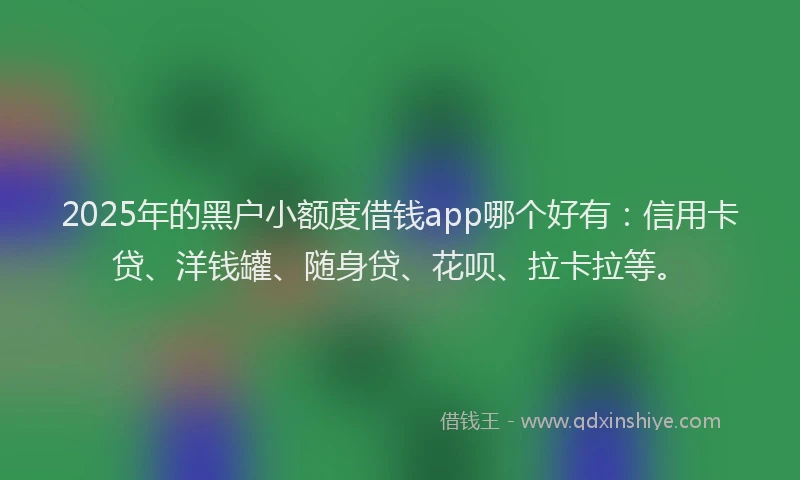 2025年的黑户小额度借钱app哪个好有：信用卡贷、洋钱罐、随身贷、花呗、拉卡拉等。