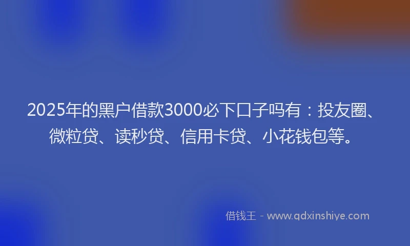 2025年的黑户借款3000必下口子吗有：投友圈、微粒贷、读秒贷、信用卡贷、小花钱包等。