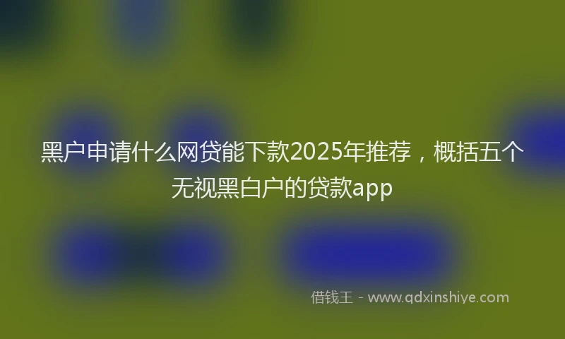 黑户申请什么网贷能下款2025年推荐，概括五个无视黑白户的贷款app
