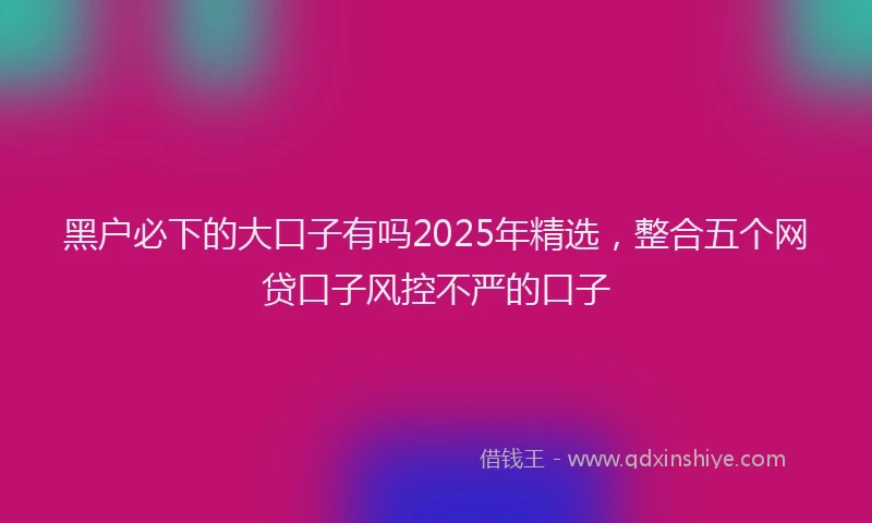 黑户必下的大口子有吗2025年精选，整合五个网贷口子风控不严的口子