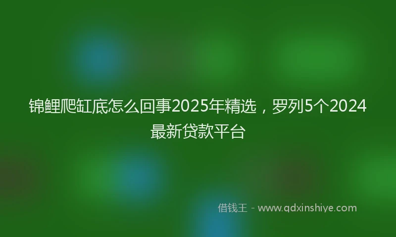 锦鲤爬缸底怎么回事2025年精选，罗列5个2024最新贷款平台