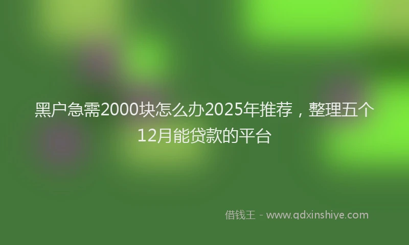 黑户急需2000块怎么办2025年推荐，整理五个12月能贷款的平台
