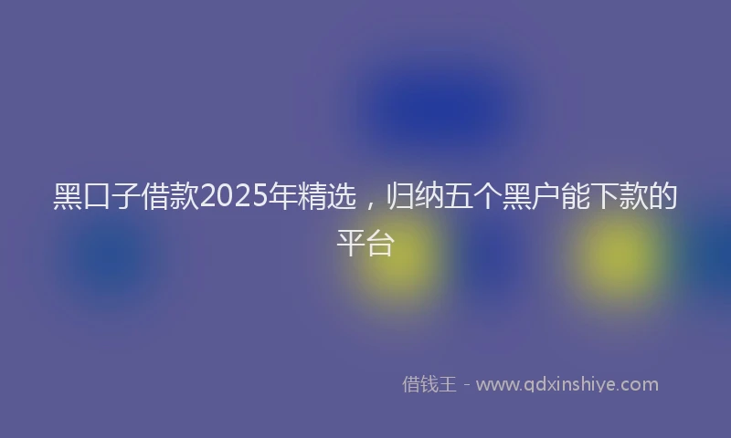 黑口子借款2025年精选，归纳五个黑户能下款的平台