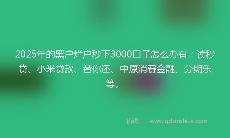 2025年的黑户烂户秒下3000口子怎么办有：读秒贷、小米贷款、替你还、中原消费金融、分期乐等。